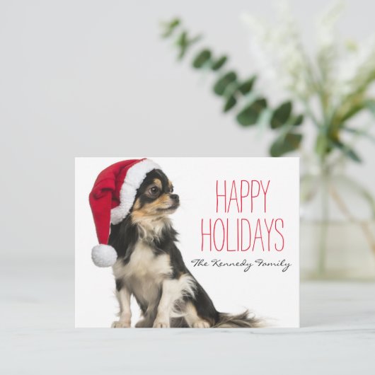 Chihuahua mit Weihnachtsmütze Feiertagspostkarte (Stehend Vorderseite)