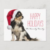 Chihuahua mit Weihnachtsmütze Feiertagspostkarte (Vorderseite)