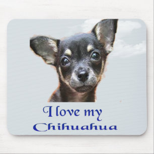 Chihuahua Mousepad