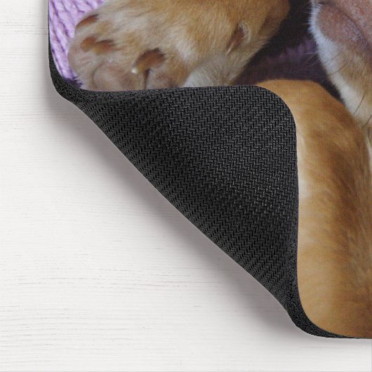 Chihuahua Mousepad (Ecke)