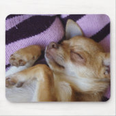 Chihuahua Mousepad (Vorne)