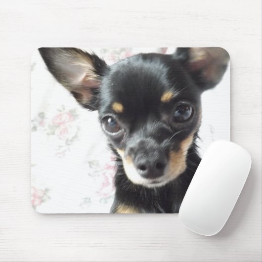 Chihuahua Mousepad (Mit Mouse)