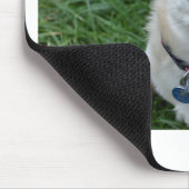 Chihuahua Mousepad (Ecke)