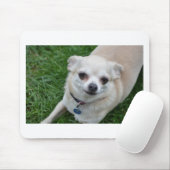 Chihuahua Mousepad (Mit Mouse)