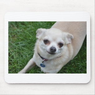 Chihuahua Mousepad
