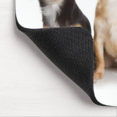 Chihuahua Mousepad (Ecke)
