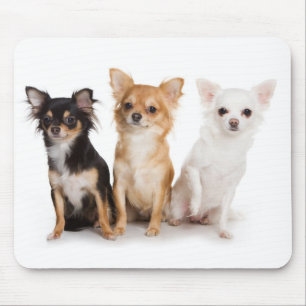 Chihuahua Mousepad