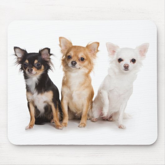 Chihuahua Mousepad (Vorne)
