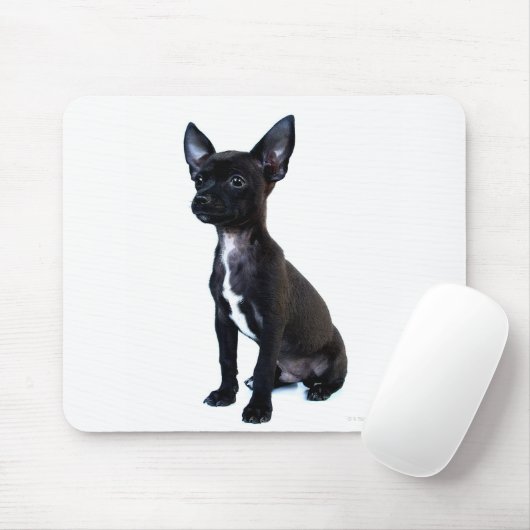 Chihuahua Mousepad (Mit Mouse)