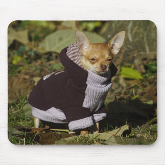 Chihuahua Mousepad (Vorne)