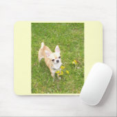 Chihuahua Mousepad (Mit Mouse)