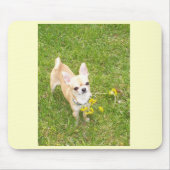 Chihuahua Mousepad (Vorne)