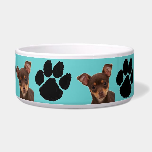 Chihuahua Napf (Vorderseite)