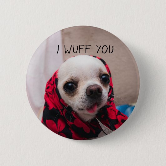 Chihuahua niedlich, ich wähe dir Liebe Valentines Button (Vorderseite)
