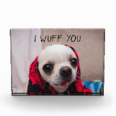 Chihuahua niedlich, ich wähe dir Liebe Valentines Fotoblock (Vorderseite)