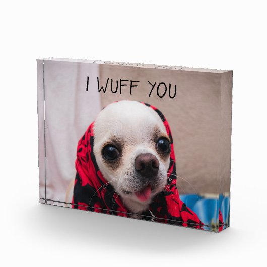 Chihuahua niedlich, ich wähe dir Liebe Valentines Fotoblock (Rechts)