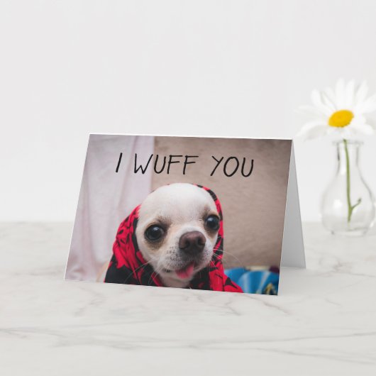 Chihuahua niedlich, ich wähe dir Liebe Valentines Karte (Kleine Pflanze)