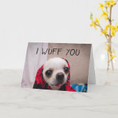 Chihuahua niedlich, ich wähe dir Liebe Valentines Karte (Gelbe Blume)