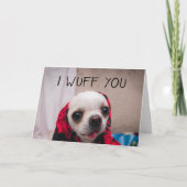 Chihuahua niedlich, ich wähe dir Liebe Valentines Karte (Vorderseite)