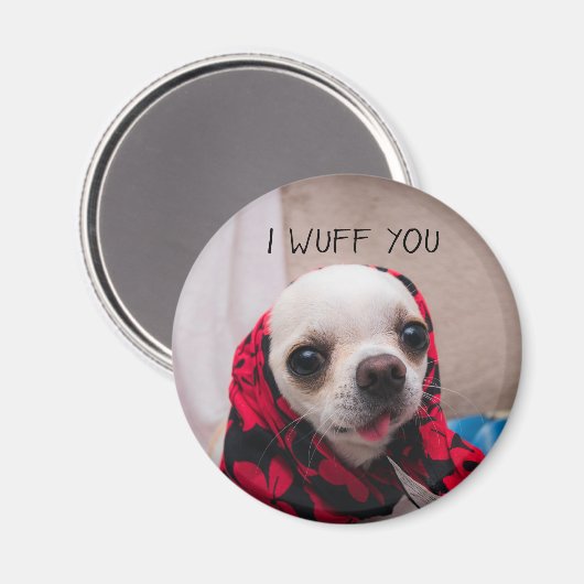 Chihuahua niedlich, ich wähe dir Liebe Valentines Magnet (Vorderseite/Rückseite)