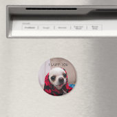 Chihuahua niedlich, ich wähe dir Liebe Valentines Magnet (In Situ (Geschirrspüler))