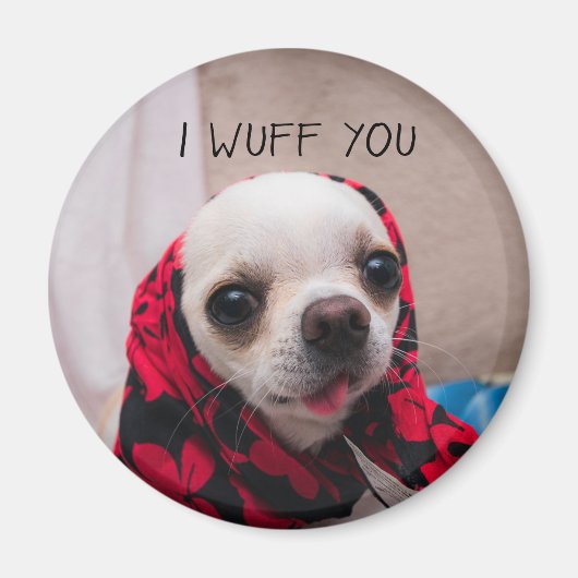 Chihuahua niedlich, ich wähe dir Liebe Valentines Magnet (Vorne)