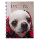 Chihuahua niedlich, ich wähe dir Liebe Valentines Notizblock (Vorderseite)