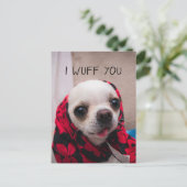 Chihuahua niedlich, ich wähe dir Liebe Valentines Postkarte (Stehend Vorderseite)