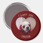 Chihuahua niedlich wuchsen Sie Liebe Valentinische Magnet (Vorderseite/Rückseite)