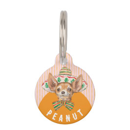 Chihuahua niedlicher Hundehund Haustiermarke