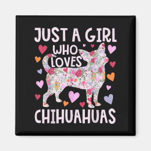 Chihuahua nur ein Mädchen, das Chihuahua-Hunde lie Magnet