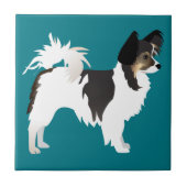 Chihuahua oder Papillon Basic Design Fliese (Vorderseite)