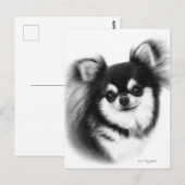 Chihuahua-Ölgemälde mit langhaariger Oberfläche Postkarte (Vorne/Hinten)