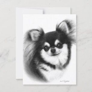 Chihuahua-Ölgemälde mit langhaariger Oberfläche Postkarte