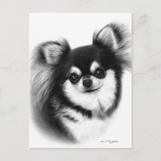 Chihuahua-Ölgemälde mit langhaariger Oberfläche Postkarte (Vorderseite)