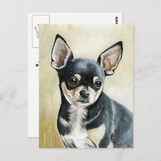 Chihuahua Original Postkarte (Vorne/Hinten)