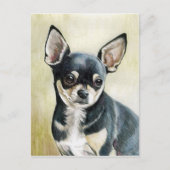 Chihuahua Original Postkarte (Vorderseite)