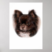 Chihuahua Painting Poster (Vorne)