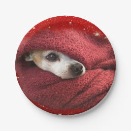 Chihuahua Pappteller