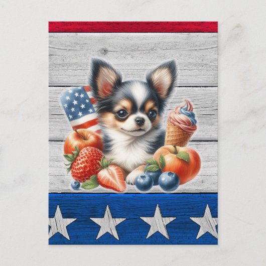 Chihuahua Patriotic Fruit USA Long Hair Chihuahua Postkarte (Vorderseite)