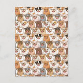 Chihuahua Pattern Postkarte (Vorderseite)