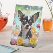 Chihuahua - Pedestal-Zeichen Sockelschild (In Situ)