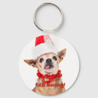Chihuahua | Persönlich | Humorour