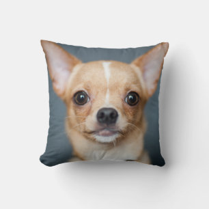 Chihuahua Pet Dog Throw Kissen Wohngestaltung