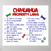 CHIHUAHUA PL2 POSTER (Vorne)