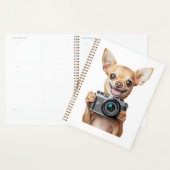 Chihuahua Planer (Anzeige)