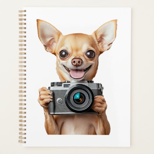 Chihuahua Planer (Vorderseite)