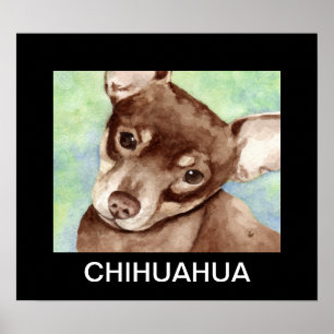 Chihuahua-Porträt Poster