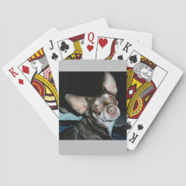 Chihuahua Posing - Versuche einfach nicht, ihn abz Spielkarten