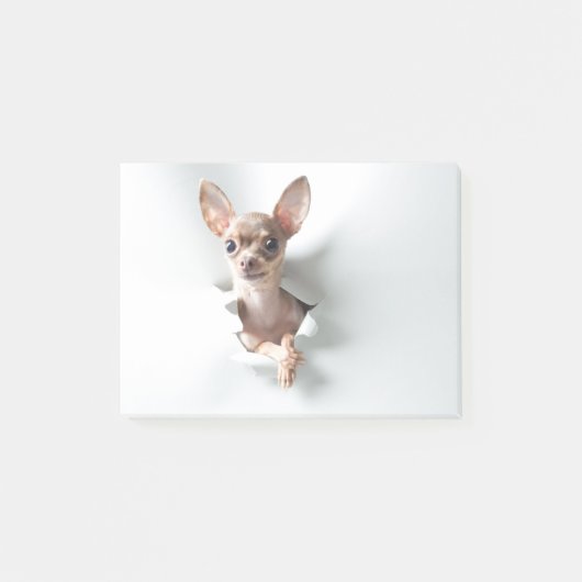 Chihuahua Post-it Klebezettel (Vorderseite)